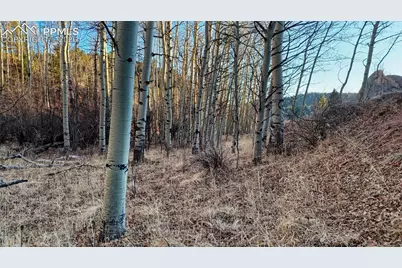 524 Buckhorn Road, Cripple Creek, CO 80813 - Photo 5