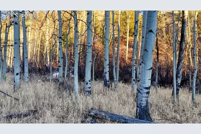 524 Buckhorn Road, Cripple Creek, CO 80813 - Photo 19