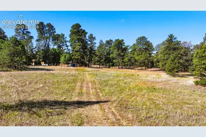 11180 Milam Road, Colorado Springs, CO 80908 - Photo 29