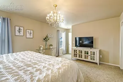 7660 Dry Willow Way, Colorado Springs, CO 80908 - Photo 25