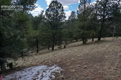 395 Wabash Terrace, Cripple Creek, CO 80813 - Photo 33