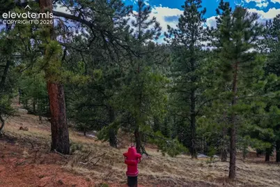 395 Wabash Terrace, Cripple Creek, CO 80813 - Photo 9