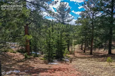 395 Wabash Terrace, Cripple Creek, CO 80813 - Photo 5
