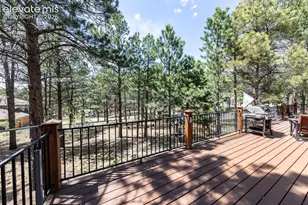 19670 Blue Clover Ln, Monument, CO 80132 - Photo 35