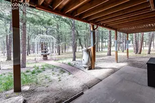 19670 Blue Clover Ln, Monument, CO 80132 - Photo 47