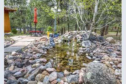 19670 Blue Clover Lane, Monument, CO 80132 - Photo 5