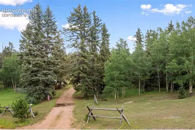 135 Daniwood Grove, Florissant, CO 80816 - Photo 3