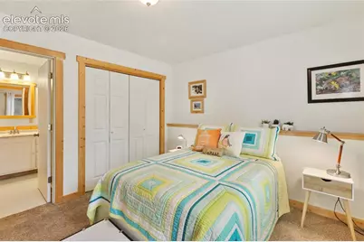 135 Daniwood Grove, Florissant, CO 80816 - Photo 29