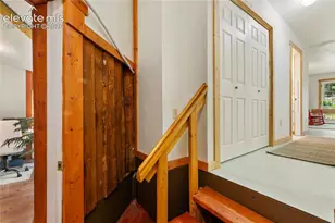135 Daniwood Grove, Florissant, CO 80816 - Photo 27