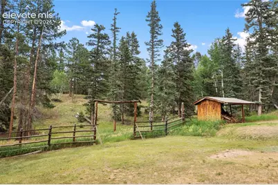 135 Daniwood Grove, Florissant, CO 80816 - Photo 11