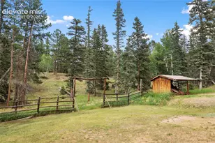 135 Daniwood Grove, Florissant, CO 80816 - Photo 11