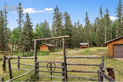 135 Daniwood Grove, Florissant, CO 80816 - Photo 5