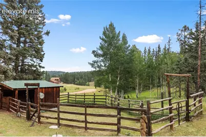 135 Daniwood Grove, Florissant, CO 80816 - Photo 9