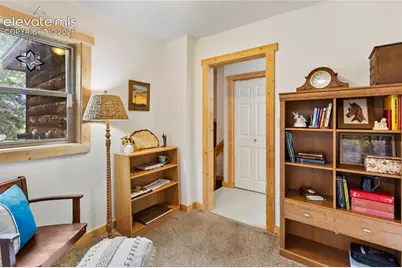 135 Daniwood Grove, Florissant, CO 80816 - Photo 31