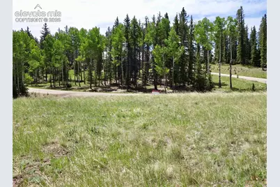 307 Pinaceae Heights, Divide, CO 80814 - Photo 5