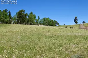307 Pinaceae Heights, Divide, CO 80814 - Photo 1