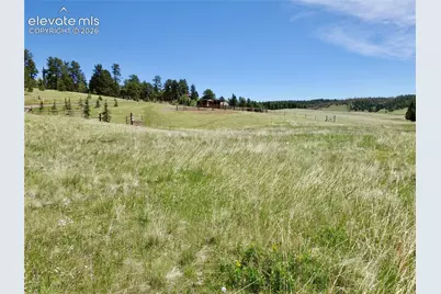 307 Pinaceae Heights, Divide, CO 80814 - Photo 3
