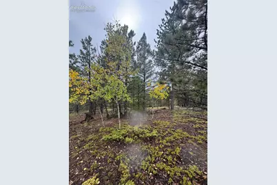 7935 County Road 51, Divide, CO 80814 - Photo 7