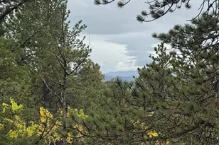 7935 Co Rd 51, Divide, CO 80814 - Photo 1