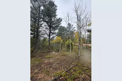 7935 County Road 51, Divide, CO 80814 - Photo 5