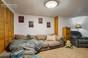 956 Boulder St, Calhan, CO 80808 - Photo 23