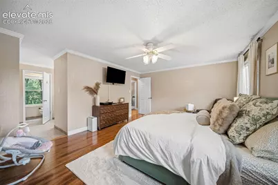 202 Blanca Court, Colorado Springs, CO 80919 - Photo 19