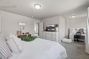 8691 Dry Needle Place, Colorado Springs, CO 80908 - Photo 17