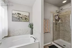 8691 Dry Needle Place, Colorado Springs, CO 80908 - Photo 19