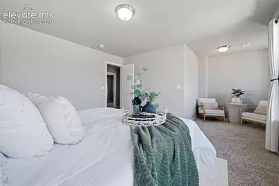 8691 Dry Needle Place, Colorado Springs, CO 80908 - Photo 15