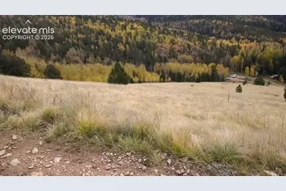 Highway 67, Cripple Creek, CO 80813 - Photo 5