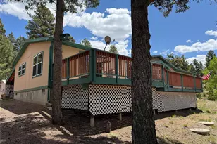 17 Amanda Cir, Florissant, CO 80816 - Photo 3