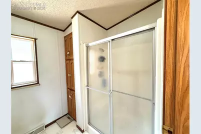 17 Amanda Circle, Florissant, CO 80816 - Photo 41
