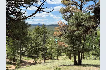 17 Amanda Circle, Florissant, CO 80816 - Photo 7