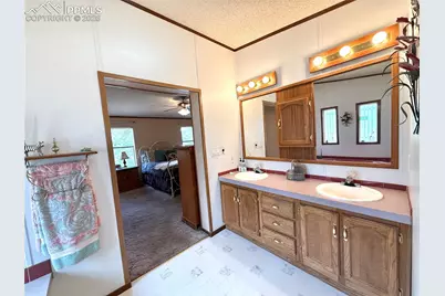 17 Amanda Circle, Florissant, CO 80816 - Photo 43