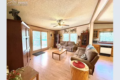 17 Amanda Circle, Florissant, CO 80816 - Photo 31