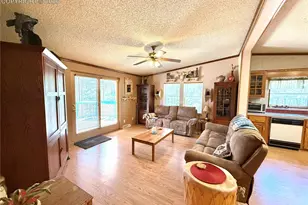 17 Amanda Cir, Florissant, CO 80816 - Photo 31
