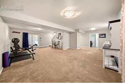 524 Spring Valley Drive, Florissant, CO 80816 - Photo 27
