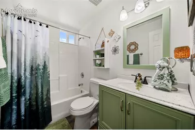 524 Spring Valley Drive, Florissant, CO 80816 - Photo 17