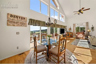 524 Spring Valley Drive, Florissant, CO 80816 - Photo 11