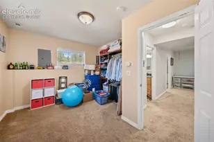 524 Spring Valley Dr, Florissant, CO 80816 - Photo 31