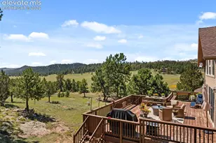 524 Spring Valley Dr, Florissant, CO 80816 - Photo 41