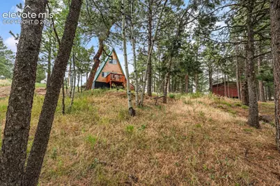 110 Gentian Road, Woodland Park, CO 80866 - Photo 29
