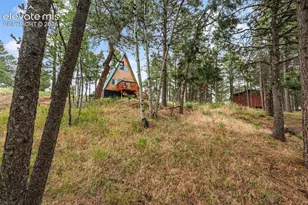 110 Gentian Rd, Woodland Park, CO 80866 - Photo 29