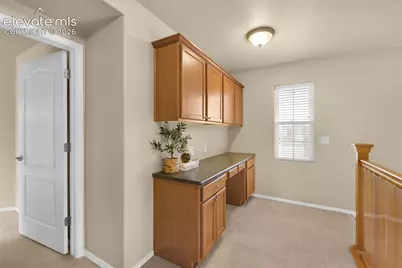 6664 Thistlewood Street, Colorado Springs, CO 80923 - Photo 13