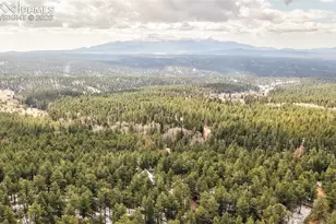 3613 Trail Creek Rd, Florissant, CO 80816 - Photo 41