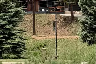10420 El Paso Ave, Green Mountain Falls, CO 80819 - Photo 25
