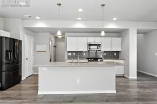 6222 Barr Pt, Colorado Springs, CO 80924 - Photo 11
