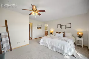 312 Blue Windsor Ln, Colorado Springs, CO 80906 - Photo 11