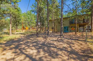 917 Centre Camino Na, Woodland Park, CO 80863 - Photo 37