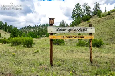 75 Deer Run Na, Guffey, CO 80820 - Photo 49